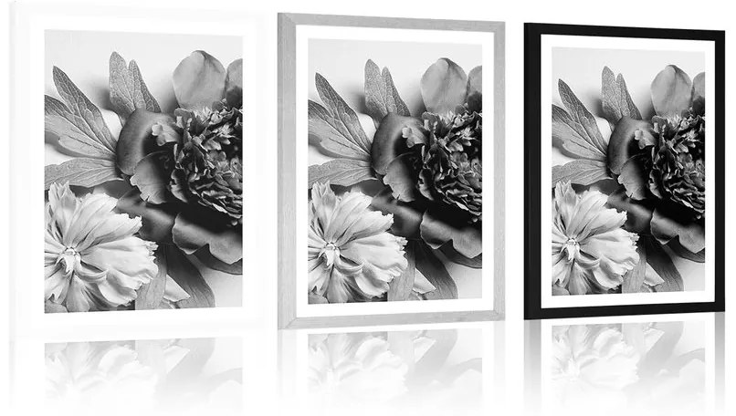 Plagát s paspartou pivonky v čiernobielom prevedení - 40x60 silver