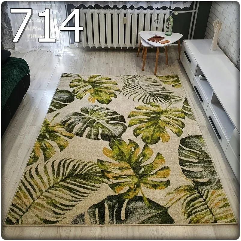 Dekorstudio Moderný koberec GARDEN so vzorom listov 714 Rozmer koberca: 160x220cm