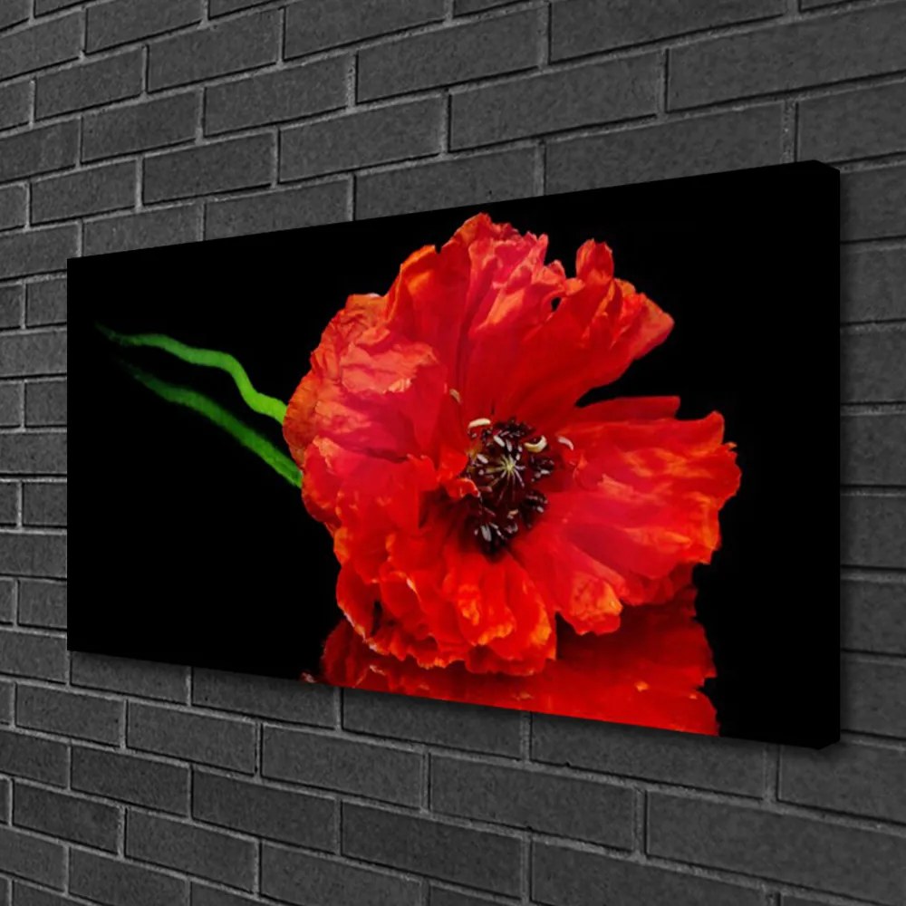 Obraz Canvas Kvet mak rastlina príroda 125x50 cm