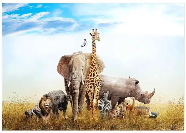 Fototapeta - Fauna of Africa Veľkosť: 100x70, Verzia: Premium