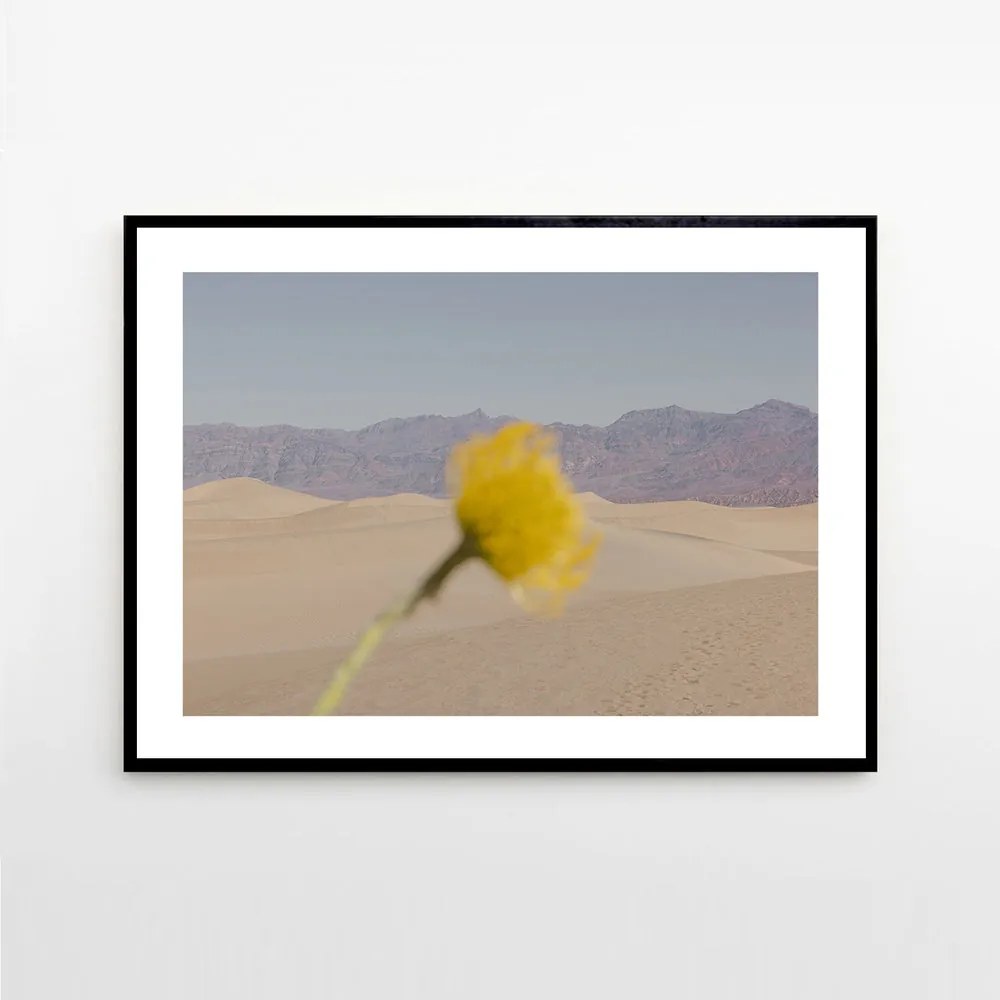 The Poster Club Plagát Desert Mirage by Nicole Mason 40x50 cm