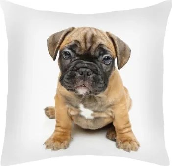 Dekoračný vankúšik Mops, 25x25 cm%