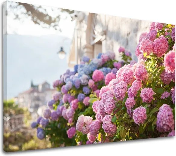 Obraz na stenu RUŽOVÉ KVETY_157-11