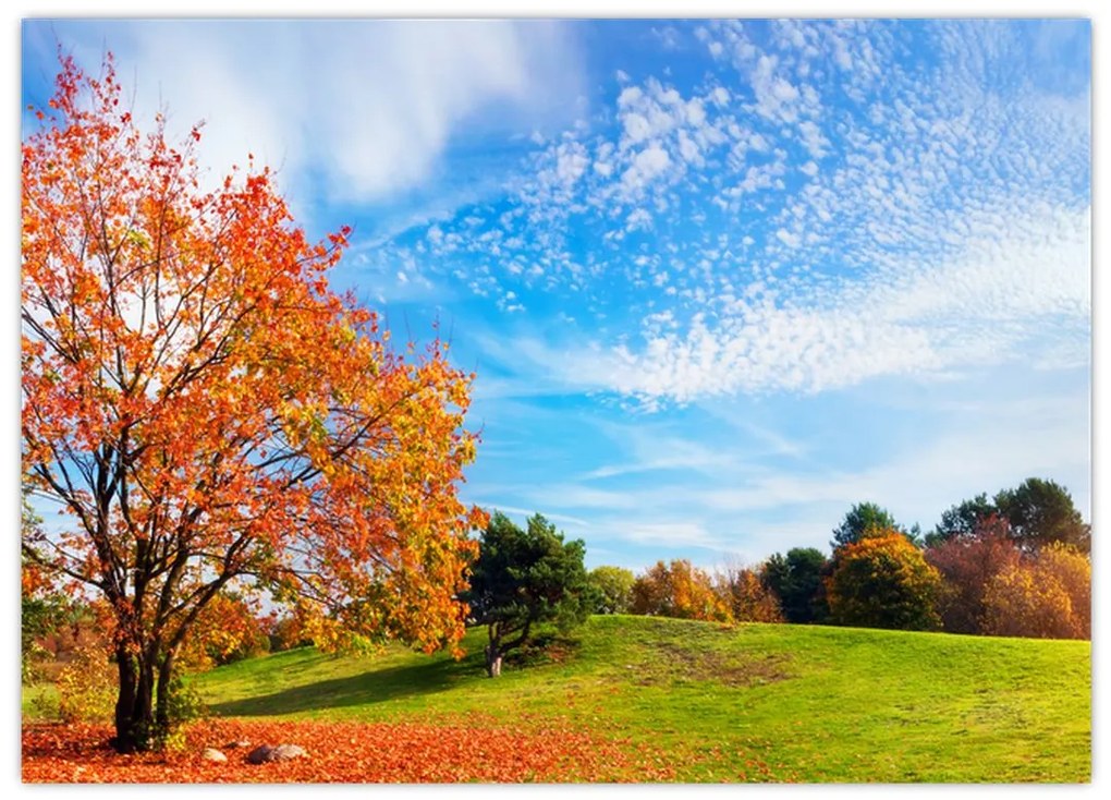 Sklenený obraz - Jesenná krajina (70x50 cm)
