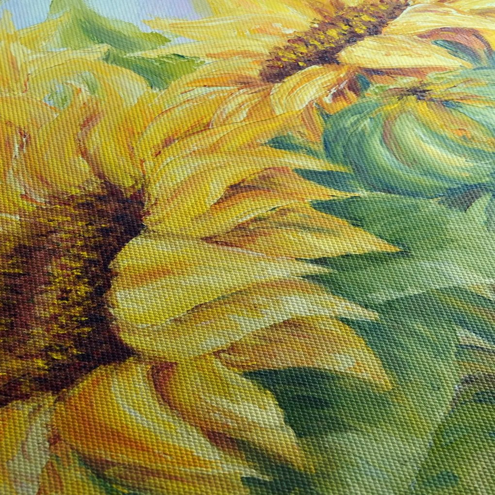 Obraz rozkvitnutých slnečníc (90x60 cm)