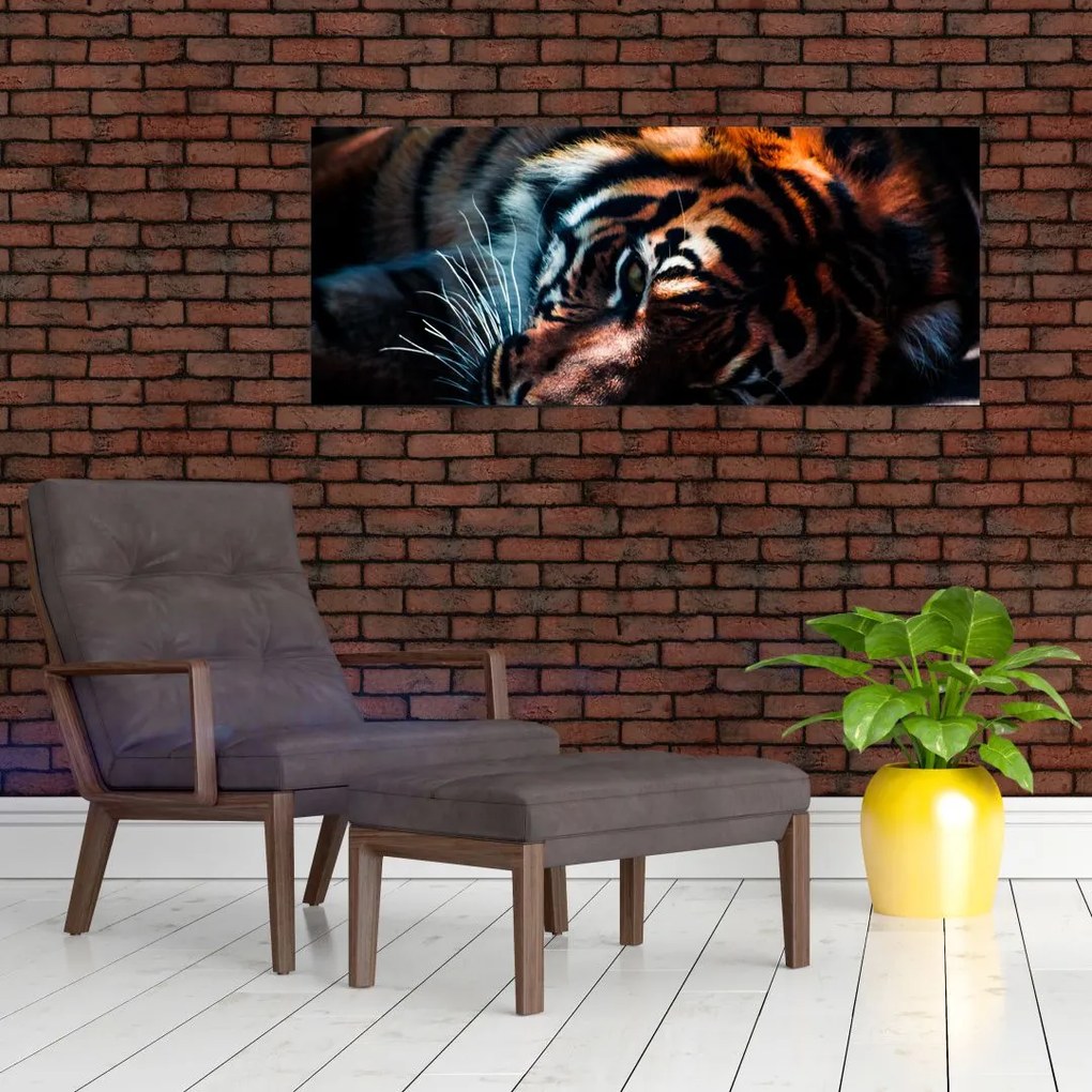 Obraz ležiaceho tigra (120x50 cm)