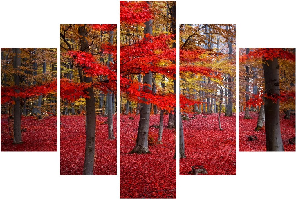 Obraz - Červený les (150x105 cm)