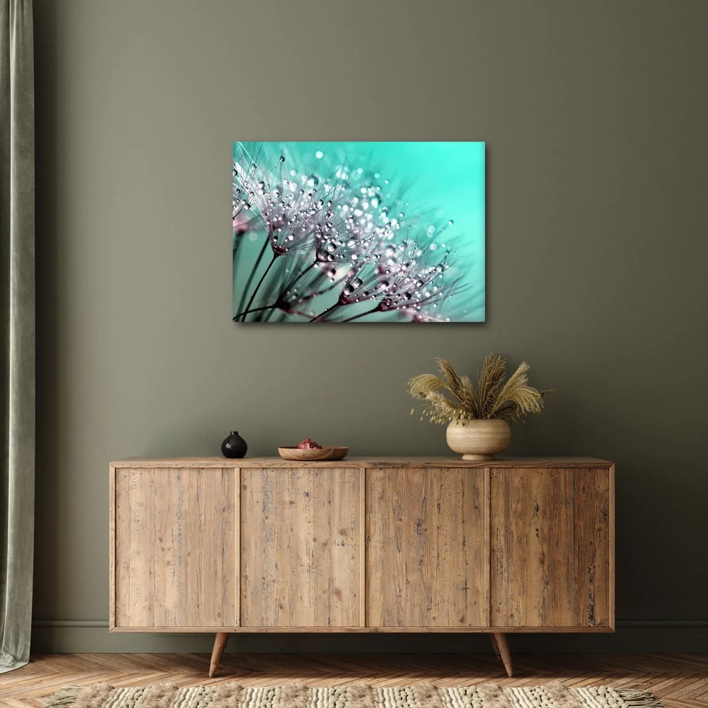 Obraz - orosená rastlina (70x50 cm)