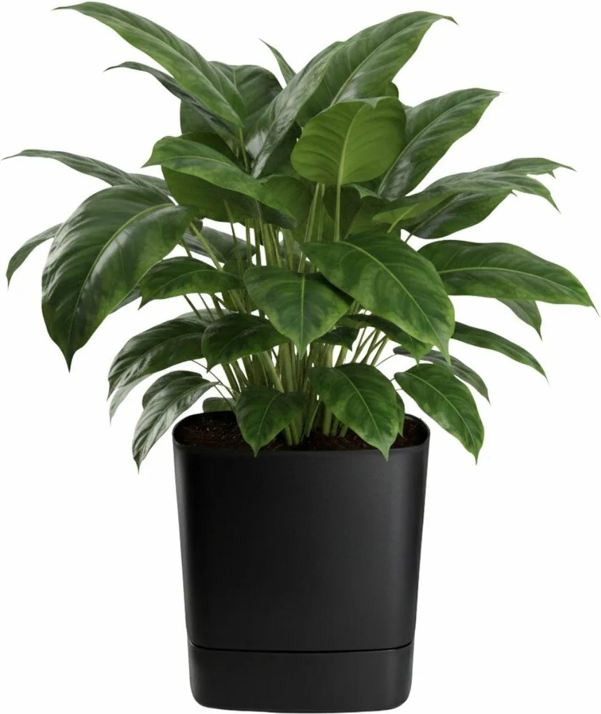 Plastový květináč s podmiskou Cubi 34x34 cm černý