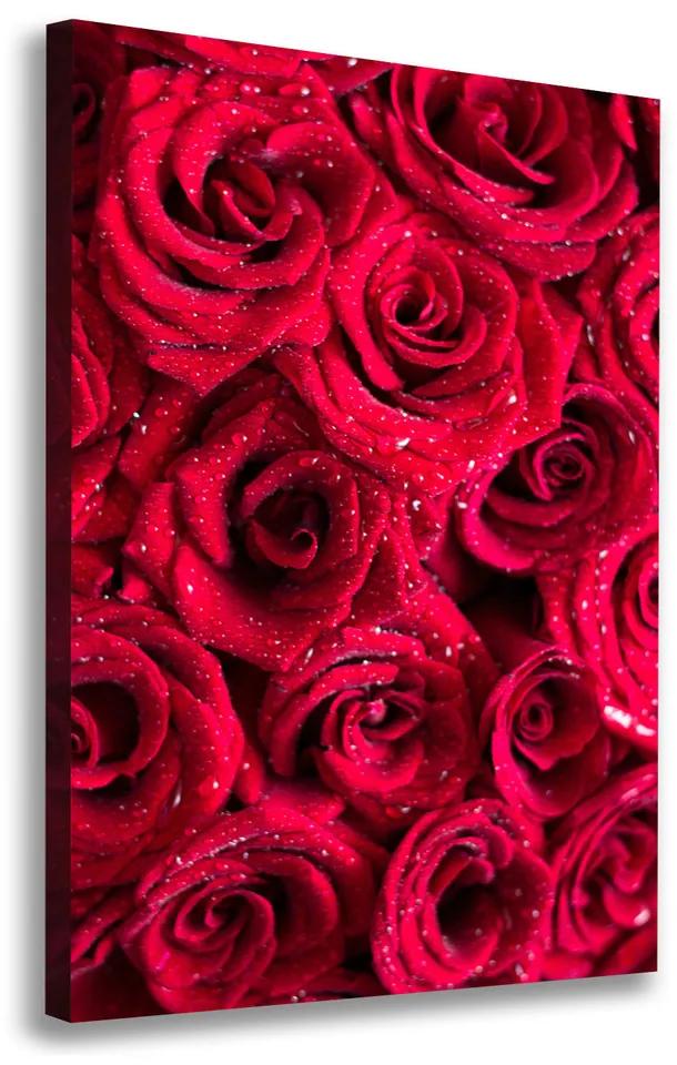 Foto obraz na plátne Červené ruže pl-oc-70x100-f-122317792