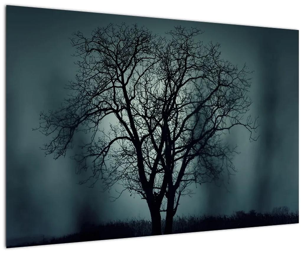 Obraz stromov pri zatmení (90x60 cm)