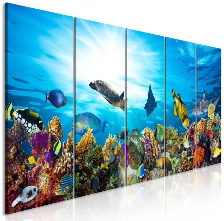 Artgeist Obraz - Coral Reef (5 Parts) Narrow Veľkosť: 200x80, Verzia: Na talianskom plátne