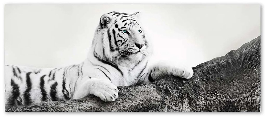Gario Obraz na plátne Pozorný tiger Rozmery: 150 x 50 cm