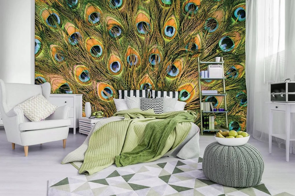 Fototapeta - Pávie perie (152,5x104 cm)