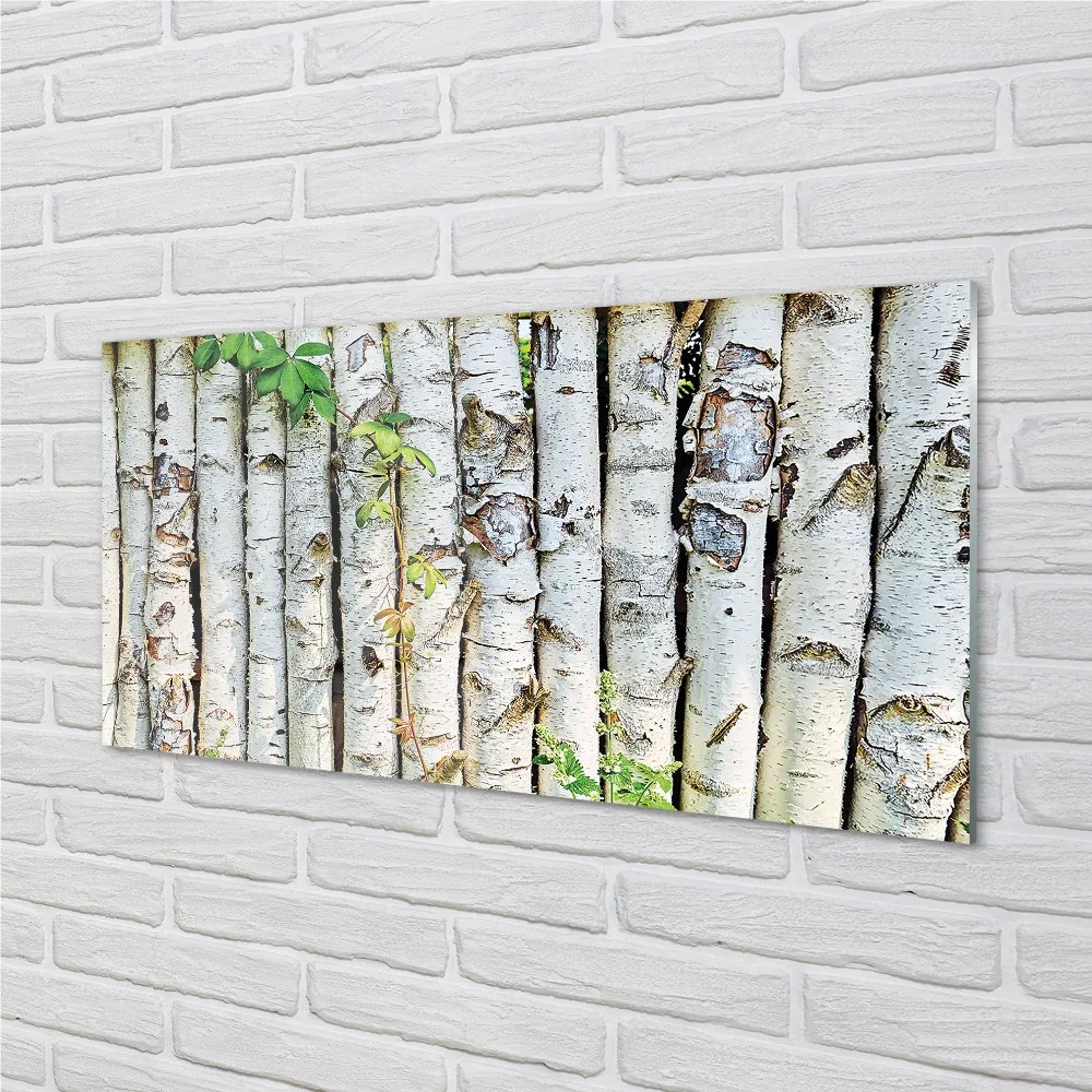 Nástenný panel  brezové lístie 120x60 cm