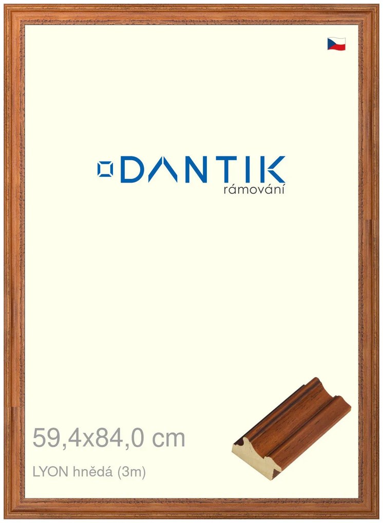DANTIK rám na obraz 59,4x84 | LYON hnědá (Plexi Čiré)
