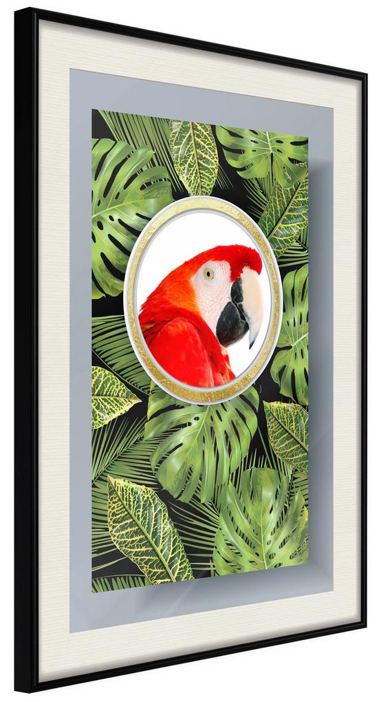 Artgeist Plagát - Parrot In The Jungle [Poster] Veľkosť: 40x60, Verzia: Zlatý rám s passe-partout