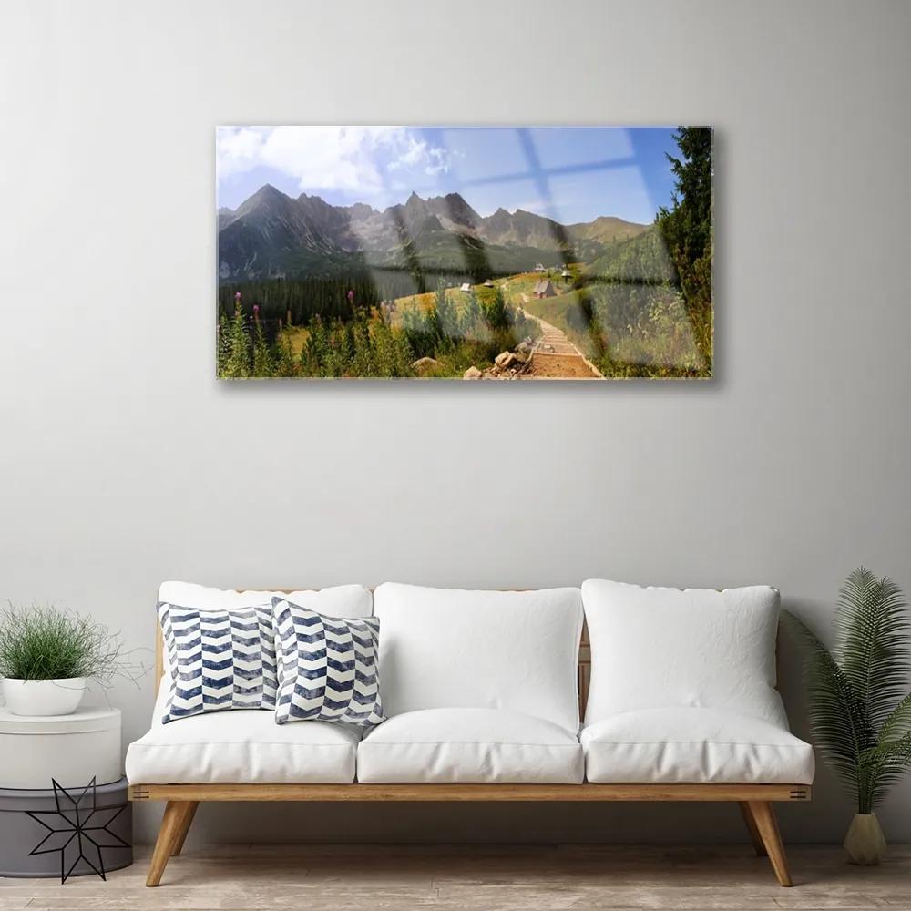 Skleneny obraz Hala góry droga natura łąka 120x60 cm
