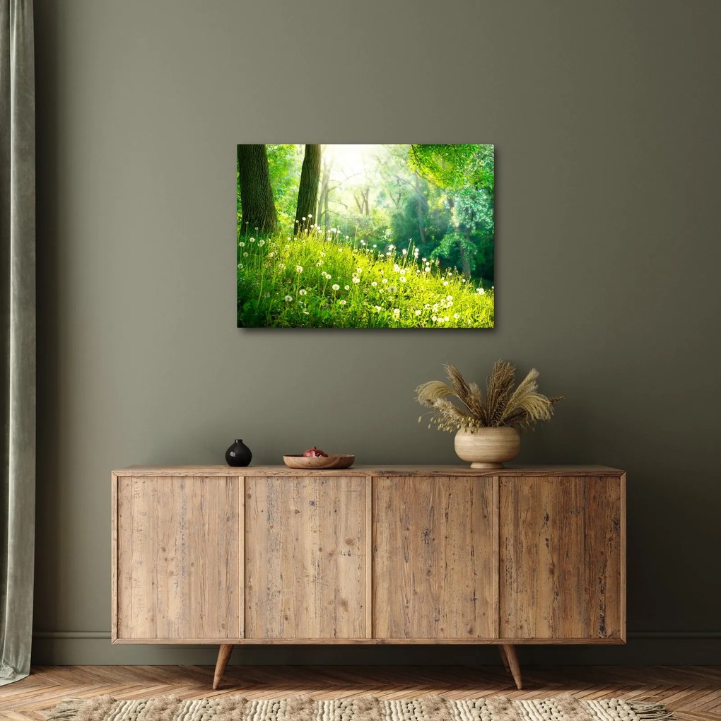 Obraz - Magická lúka plná púpav (70x50 cm)