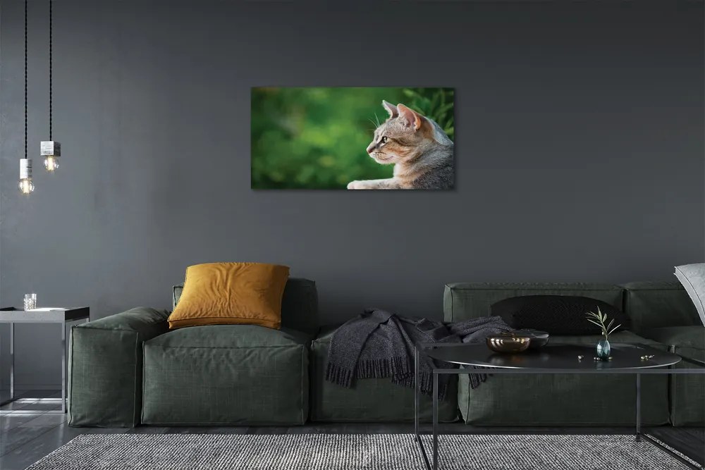 Obraz na plátne vyzerajúci mačka 120x60 cm