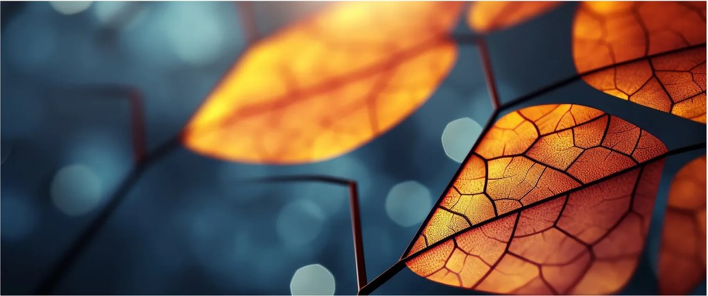 Obraz - Textúra listov (120x50 cm)
