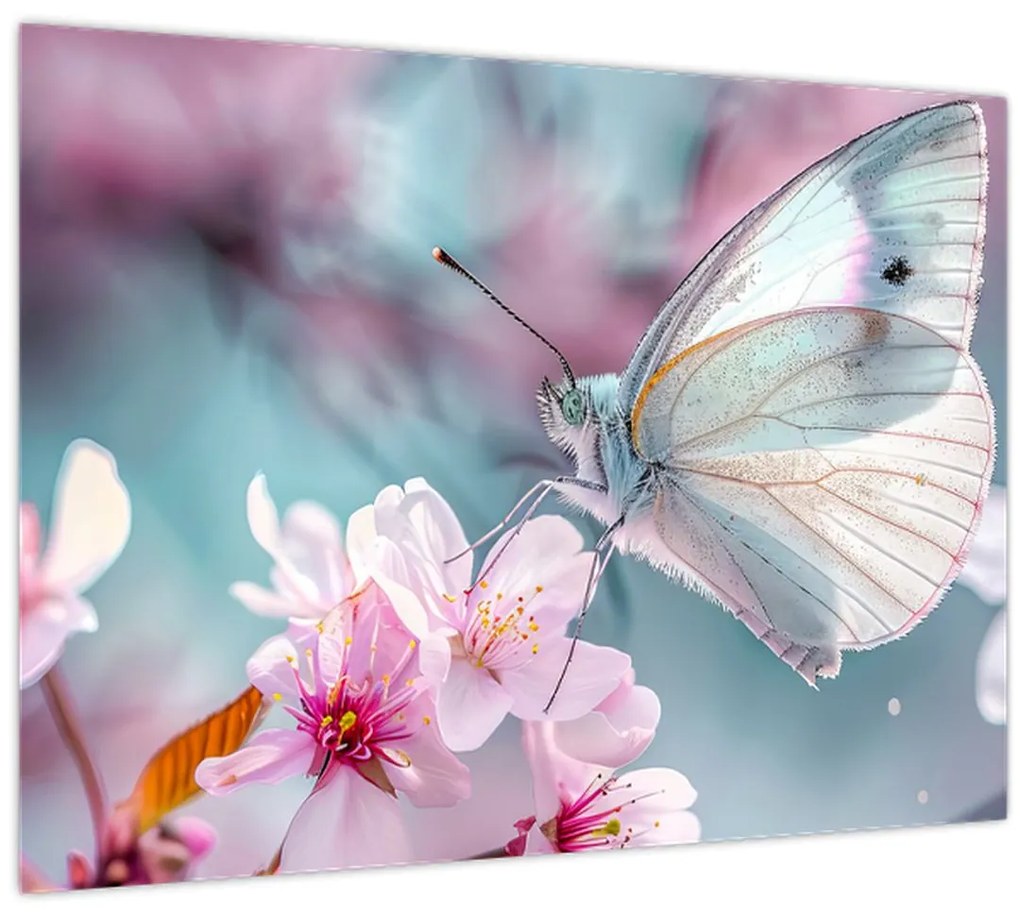 Obraz - Motýľ na čerešni (70x50 cm)