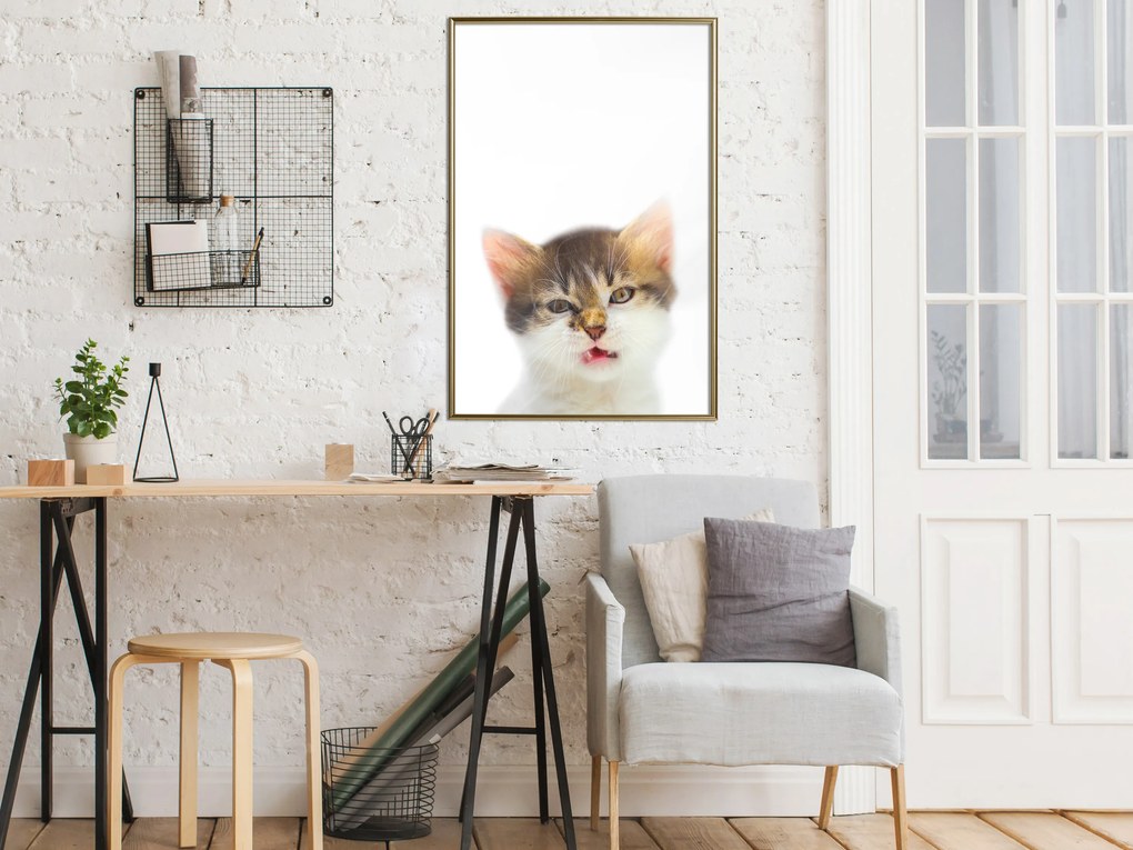 Artgeist Plagát - Vexed Cat [Poster] Veľkosť: 30x45, Verzia: Zlatý rám