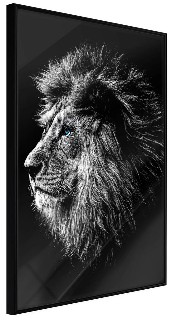 Artgeist Plagát - Blue-eyed Lion [Poster] Veľkosť: 20x30, Verzia: Čierny rám s passe-partout