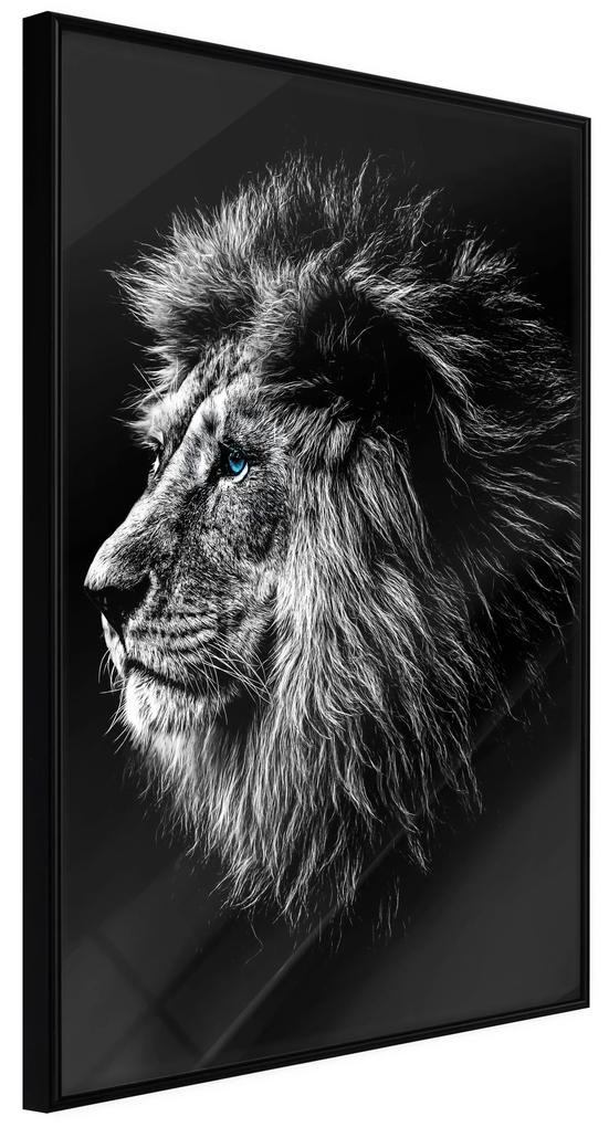 Artgeist Plagát - Blue-eyed Lion [Poster] Veľkosť: 30x45, Verzia: Čierny rám s passe-partout