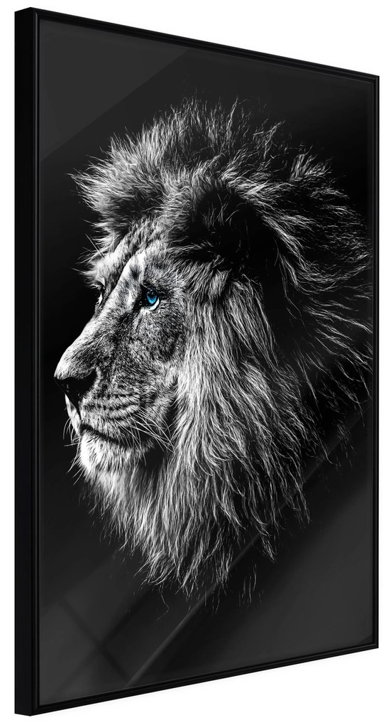 Artgeist Plagát - Blue-eyed Lion [Poster] Veľkosť: 30x45, Verzia: Zlatý rám
