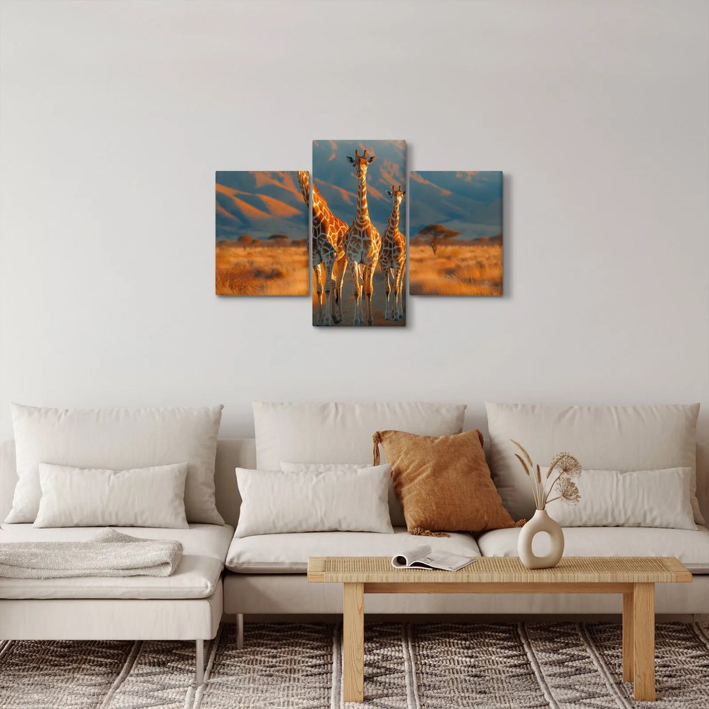 Obraz - Žirafy na pastvine (90x60 cm)