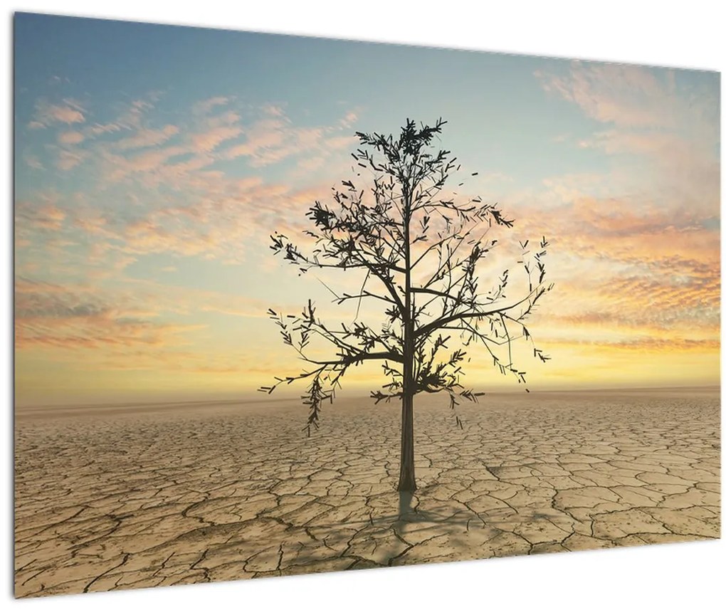 Obraz - Strom na púšti (90x60 cm)
