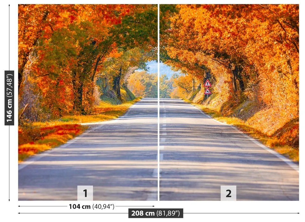 Fototapeta Vliesová Cesty na jeseň 104x70 cm