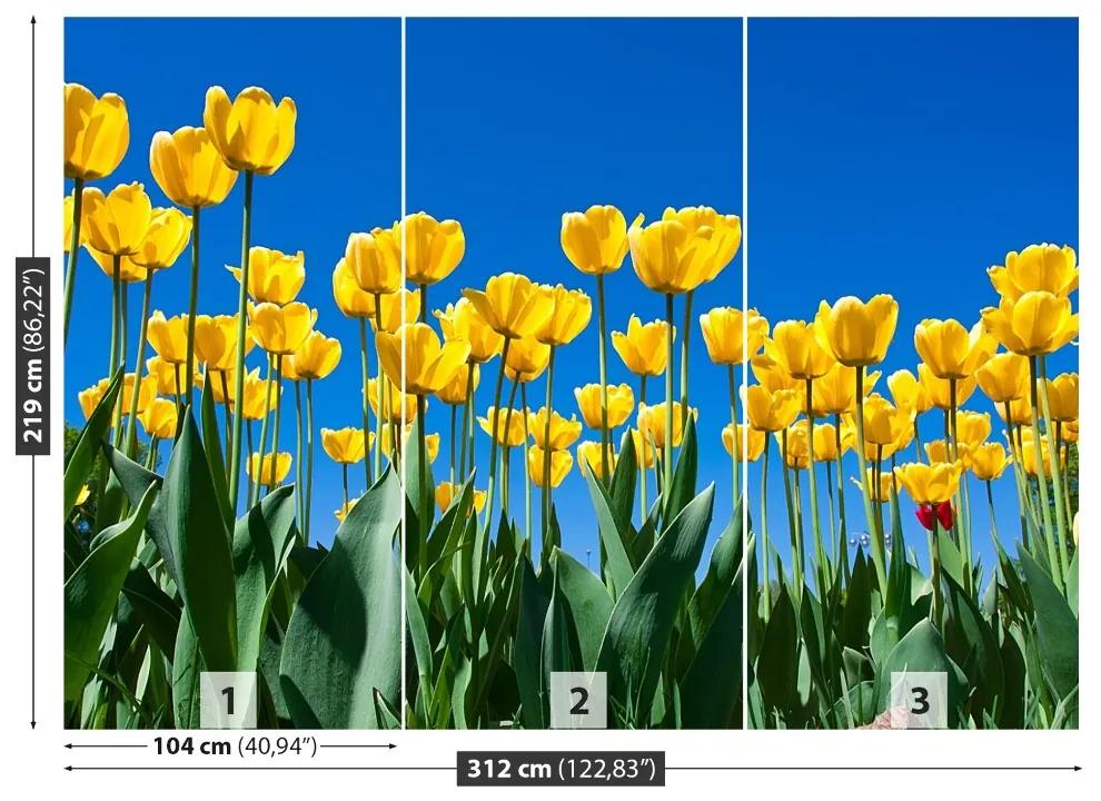 Fototapeta Vliesová Tulipán kvety 208x146 cm