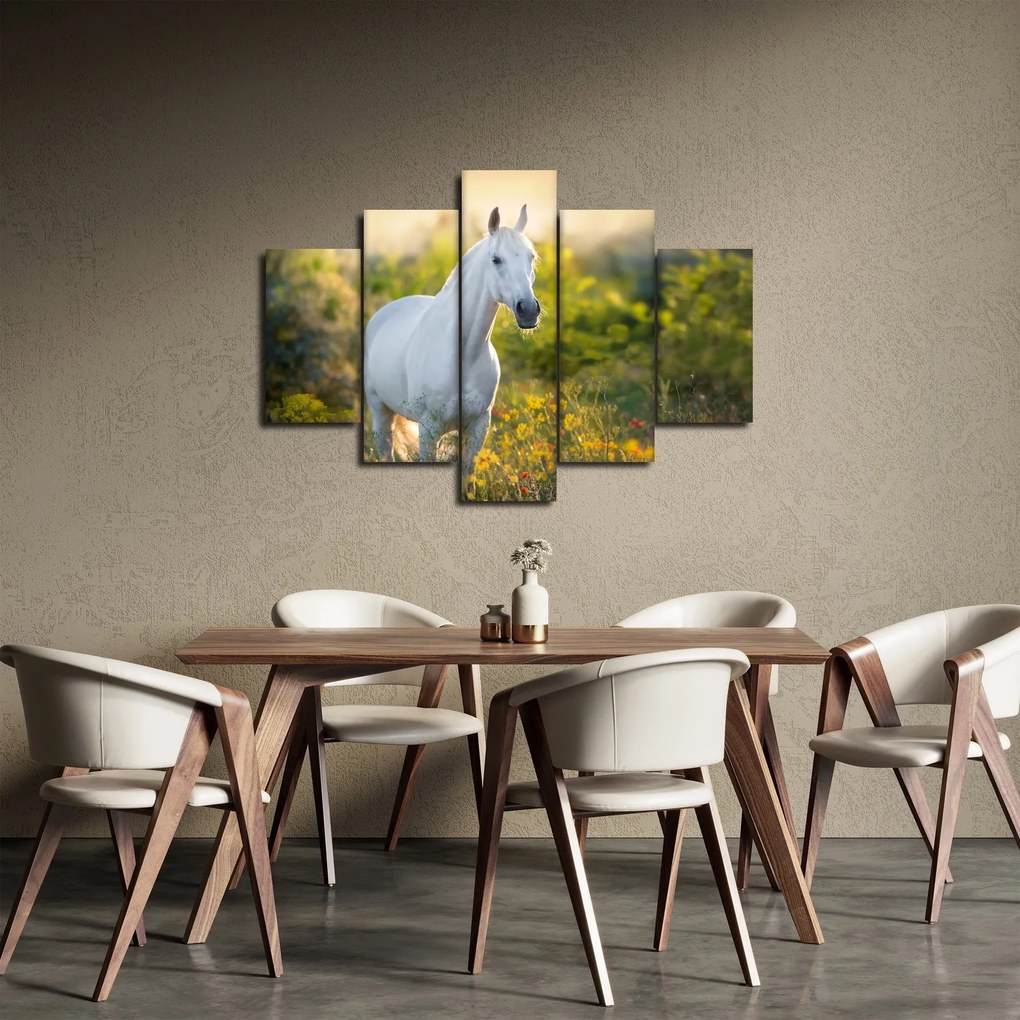 Obraz bieleho koňa na lúke (150x105 cm)