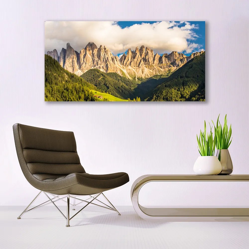 Obraz plexi Vrcholy hor mraky lesy lúka 120x60 cm