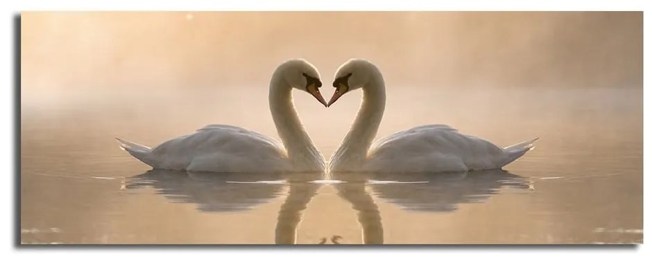 Obraz na plátne Swan Love, 90 × 30 cm