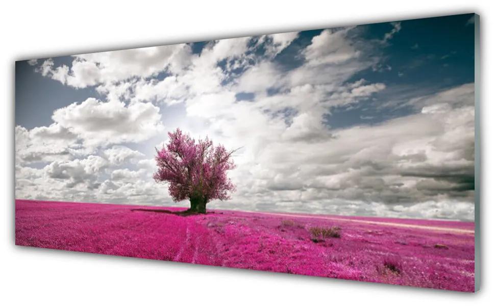 Obraz na akrylátovom skle Strom pole príroda 125x50 cm