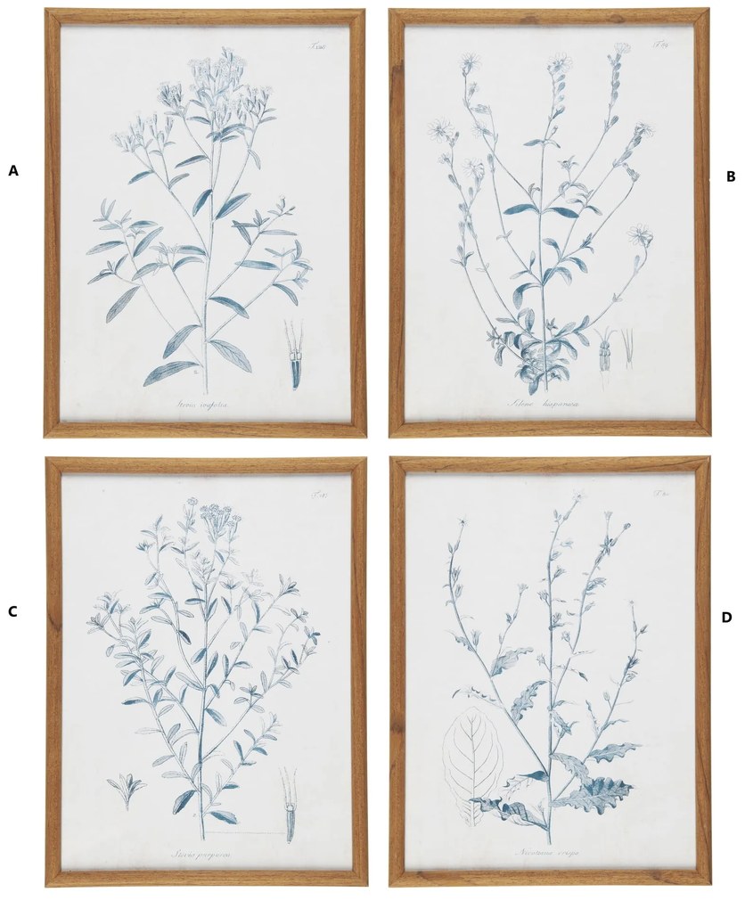 Ib Laursen Obraz v ráme Green Flower Motif 30 × 40 cm C