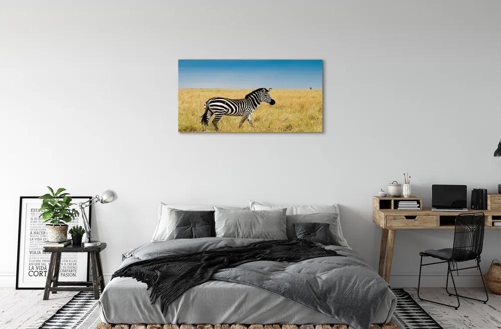 Obraz na plátne Zebra box 140x70 cm