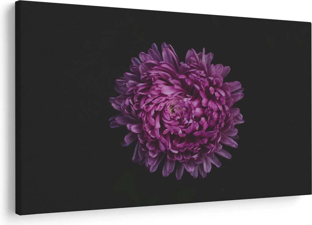 Obraz fialovej kvetiny (90x60 cm)
