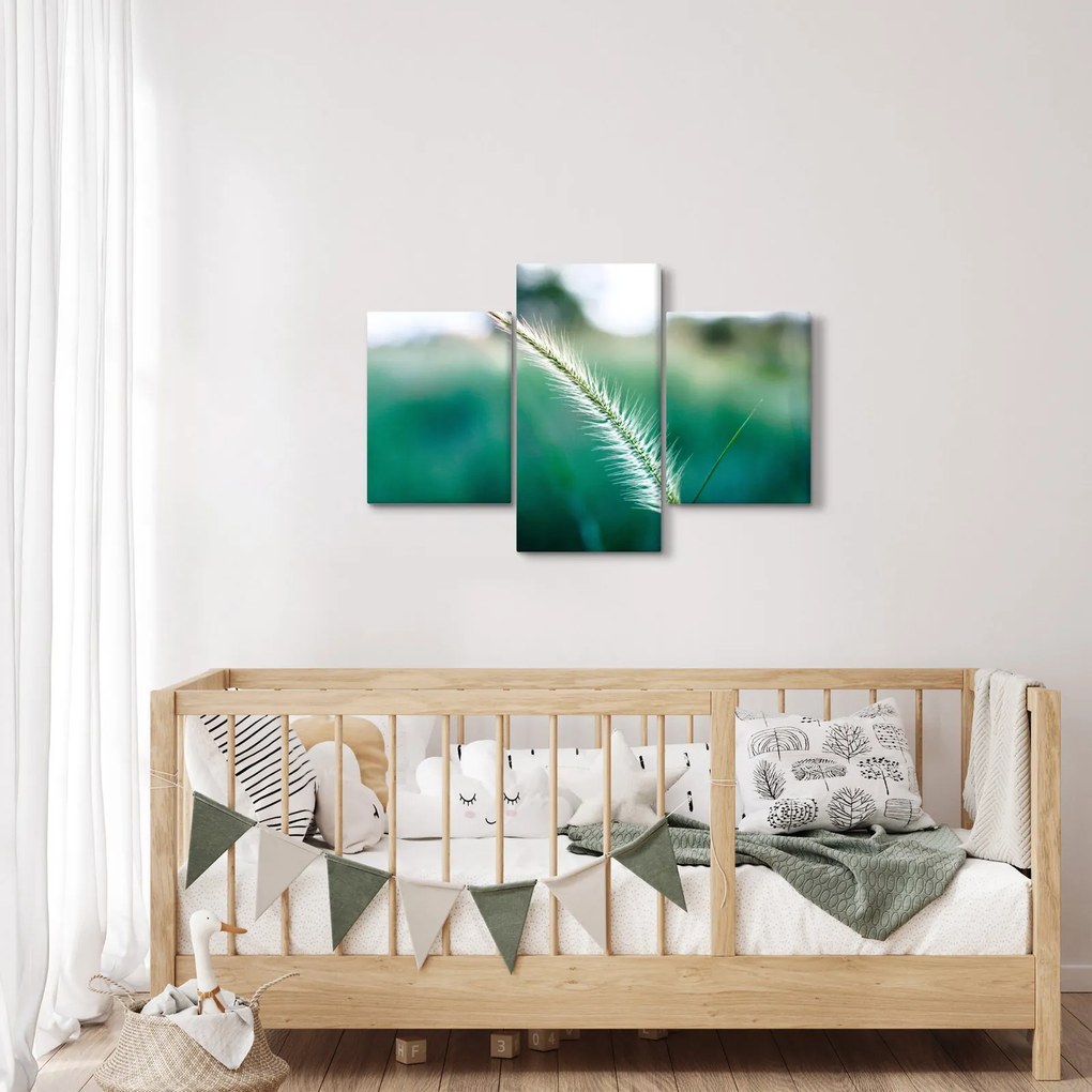 Obraz steblá trávy (90x60 cm)