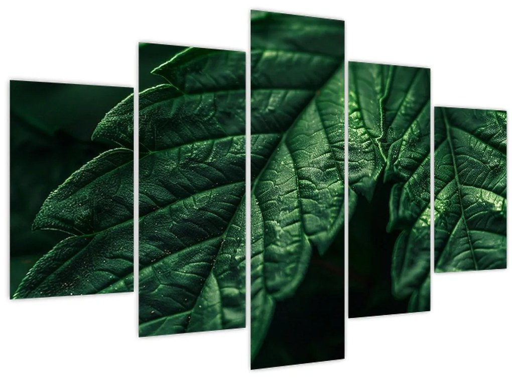 Obraz - Detail hárku (150x105 cm)