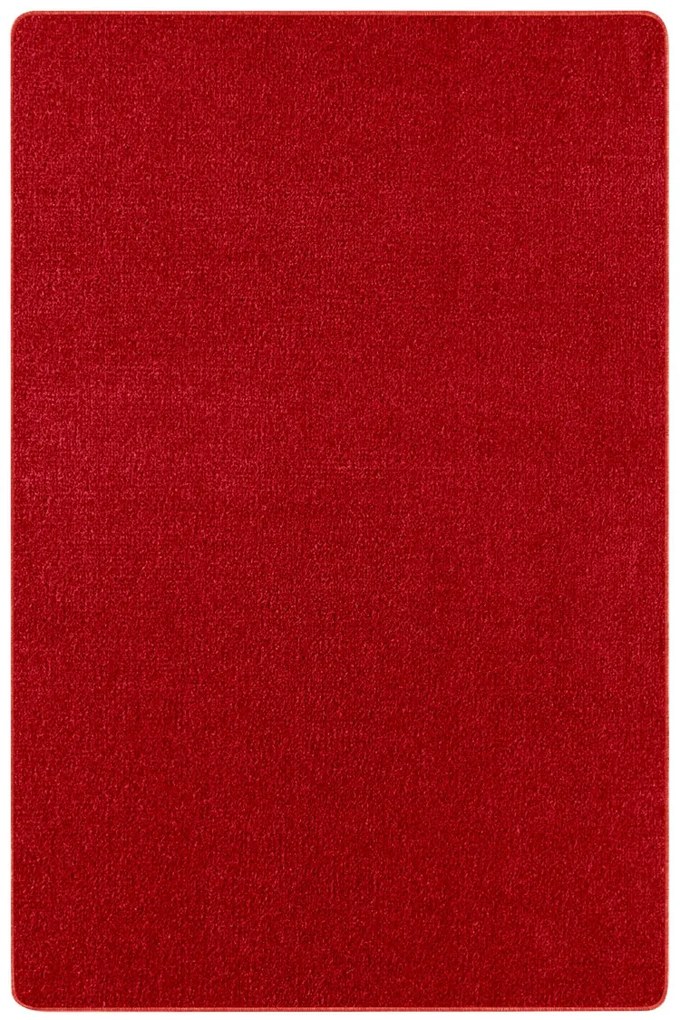 Hanse Home Collection koberce Kusový koberec Nasty 101151 Rot - 80x150 cm