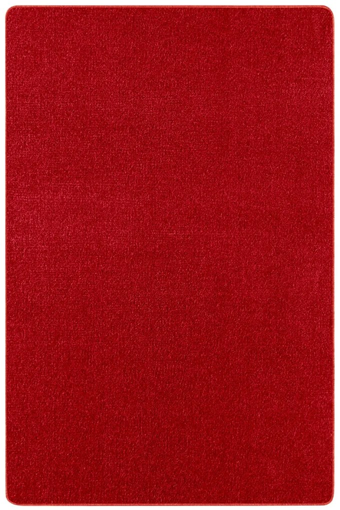 Hanse Home Collection koberce Kusový koberec Nasty 101151 Rot - 80x200 cm