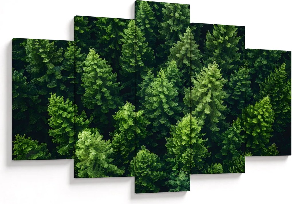 Obraz - Les (150x105 cm)