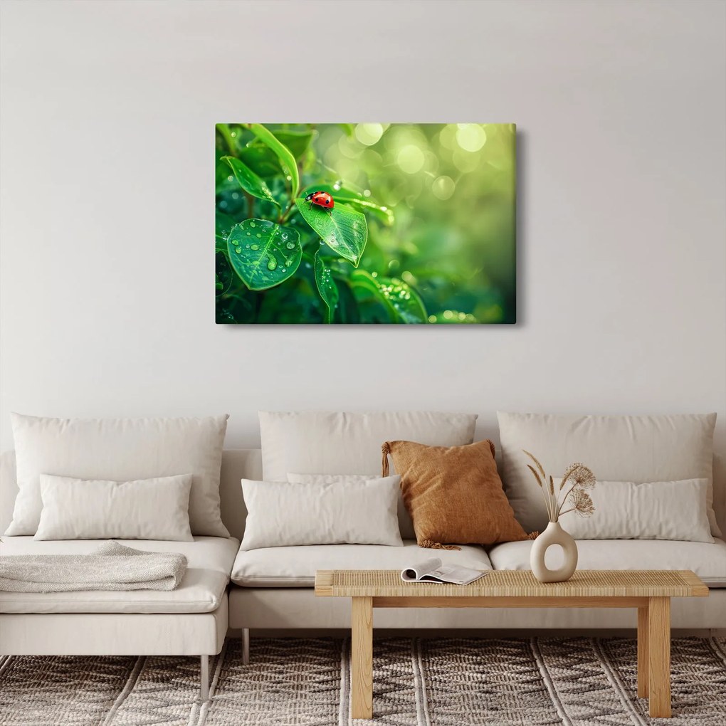 Obraz - Lienka (90x60 cm)