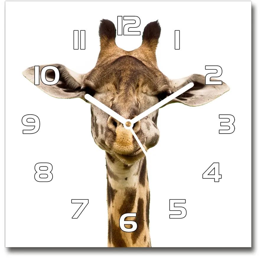 Sklenené nástenné hodiny štvorec Žirafa pl_zsk_30x30_f_53003309