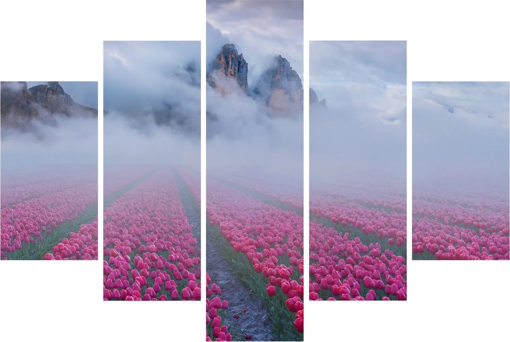Obraz - Krajina s tulipánovými poľami (150x105 cm)