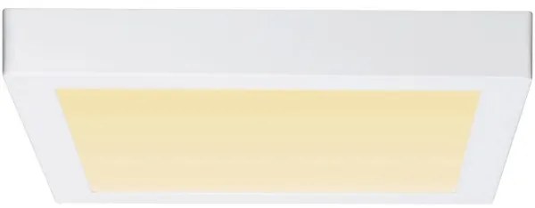 Paulmann 79801 - LED/13W Stropné svietidlo CARPO 230V 2300/2500/3000K